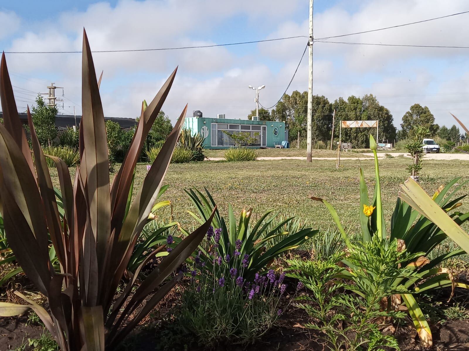 Centro de zoonosis, Tres Arroyos