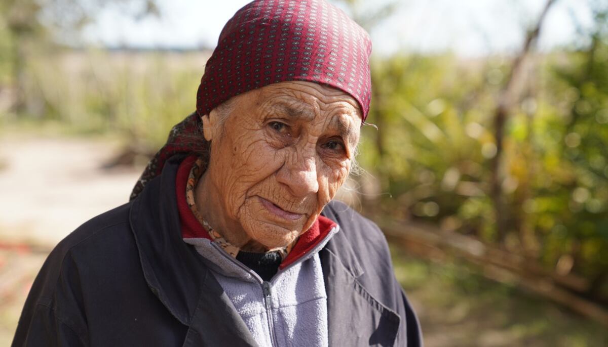Catalina, la abuela de Loan, fue citada a declarar: a qué se debe y cómo será el procedimiento