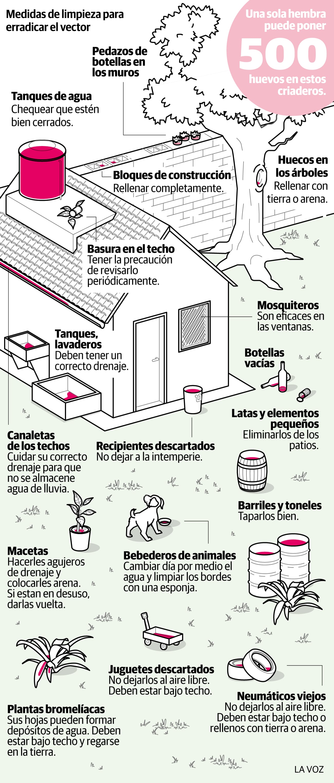 Dengue: Dónde se reproduce