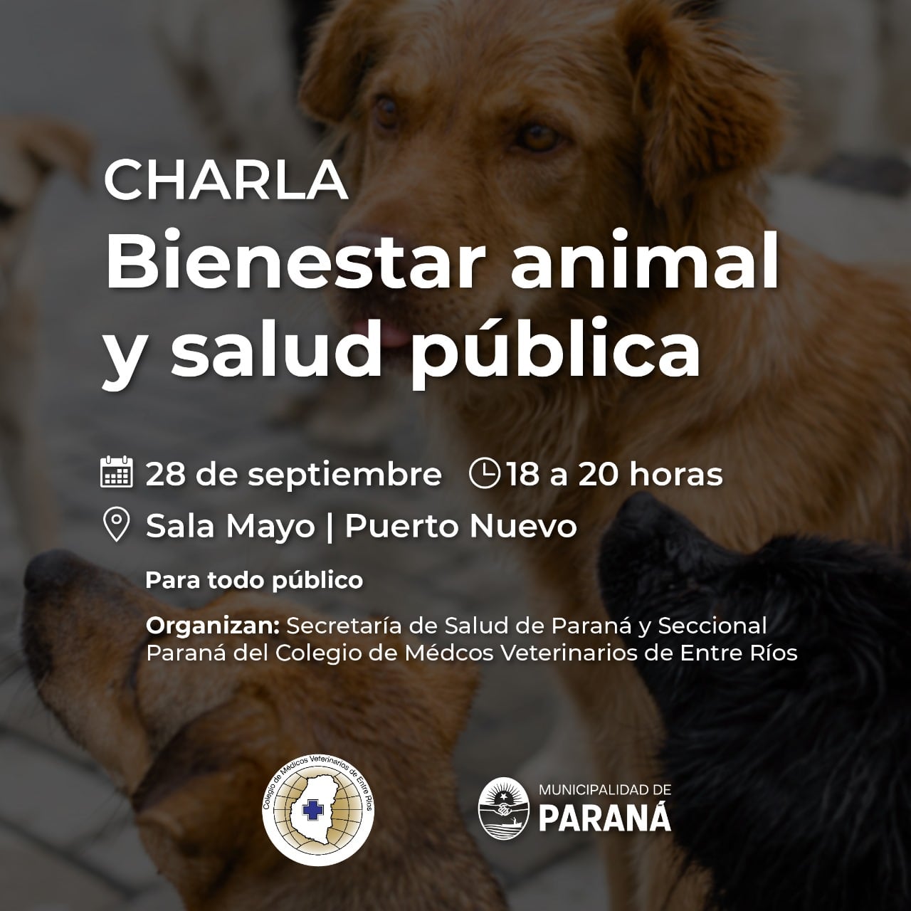 Charla bienestar animal y salud pública.