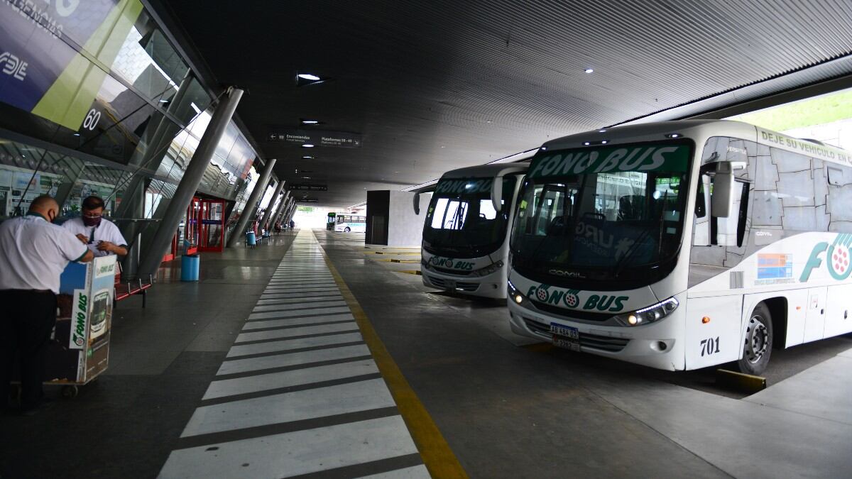 PASO 2021 en Córdoba: el transporte interurbano será gratuito este domingo