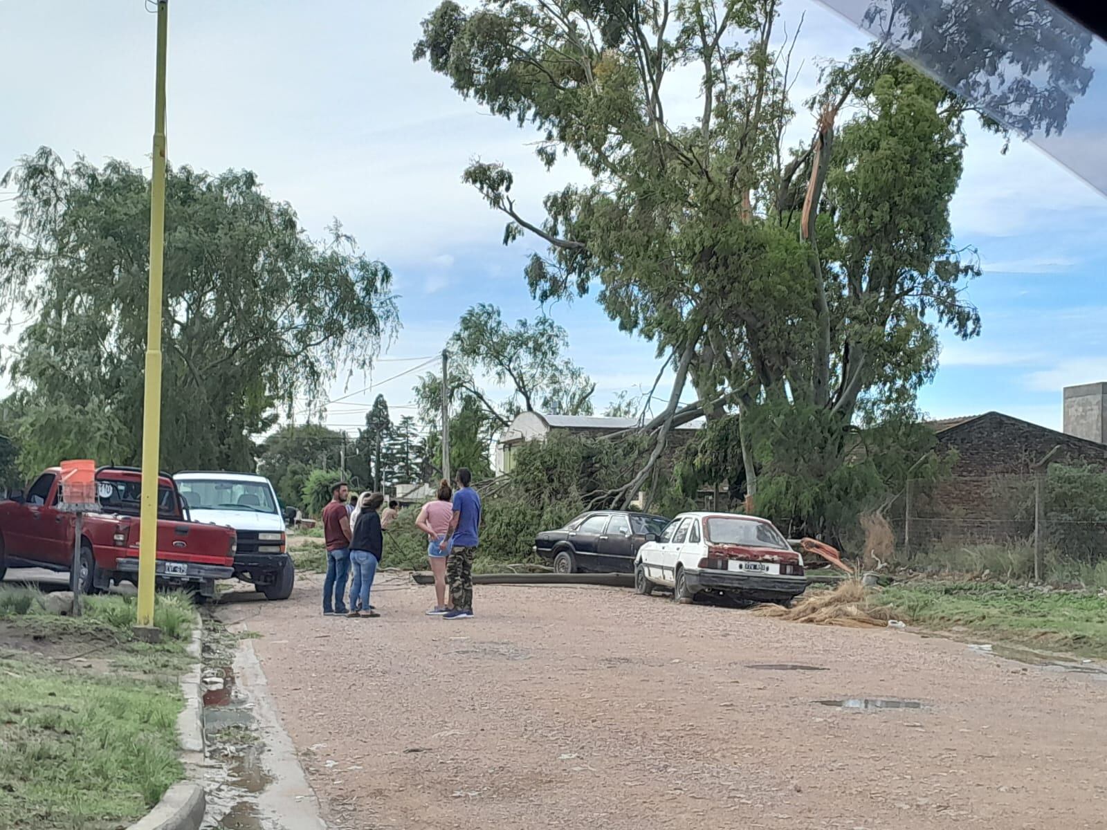 Temporal en Tres Arroyos: evacuados, árboles  caídos, techos volados y daños