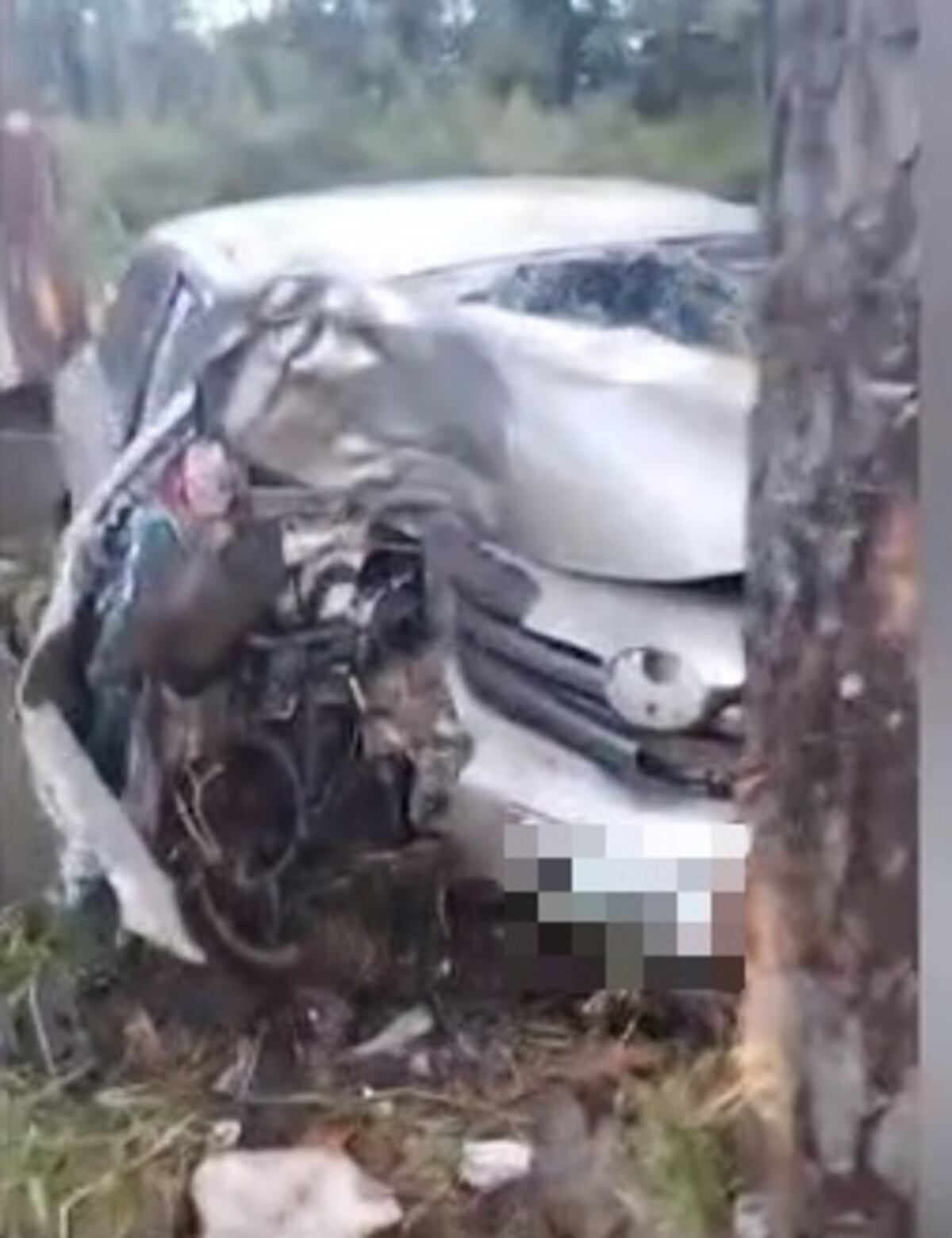 Impactante accidente vial en San Vicente: un conductor chocó de frente contra un árbol