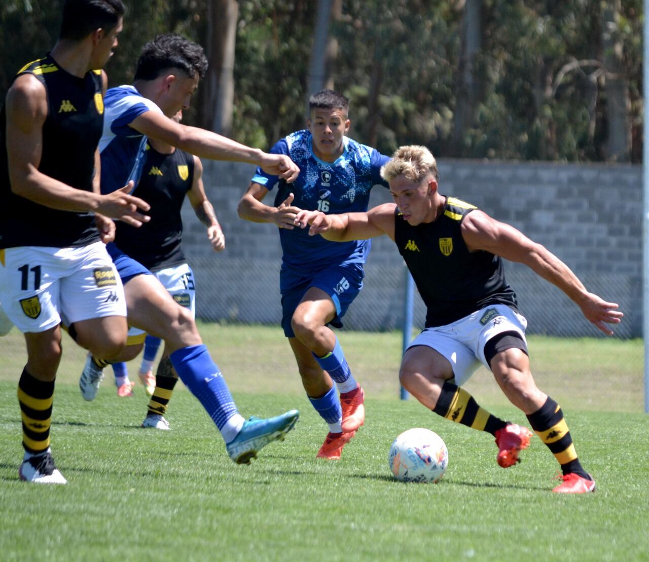 Santamarina de Tandil ante Alvarado de Mar del Plata.