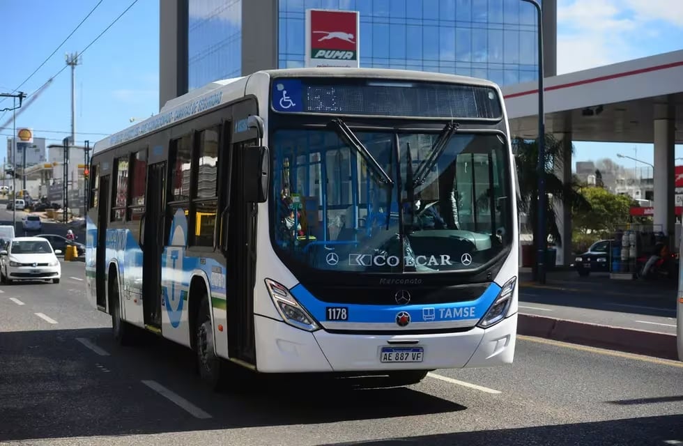 El sujeto manejaba la unidad 70 de Tamse en Córdoba.