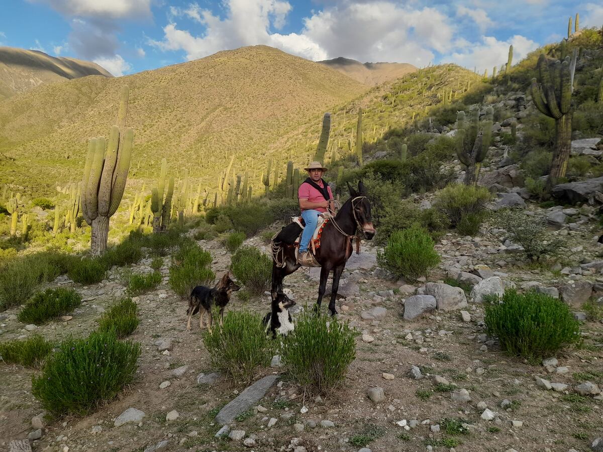 Pre-Pachamama y Pachamama 2024 en Amaicha del Valle