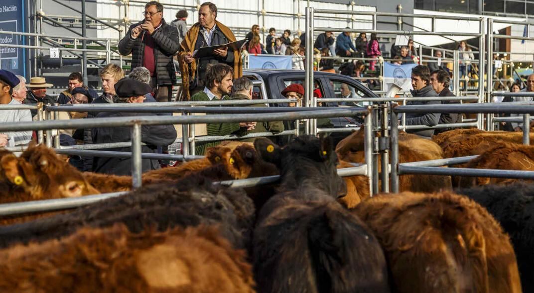 La Sociedad Rural evidenció las dificultades que están atravesando a raíz de la diferencia entre la cotización del dólar oficial y el blue.