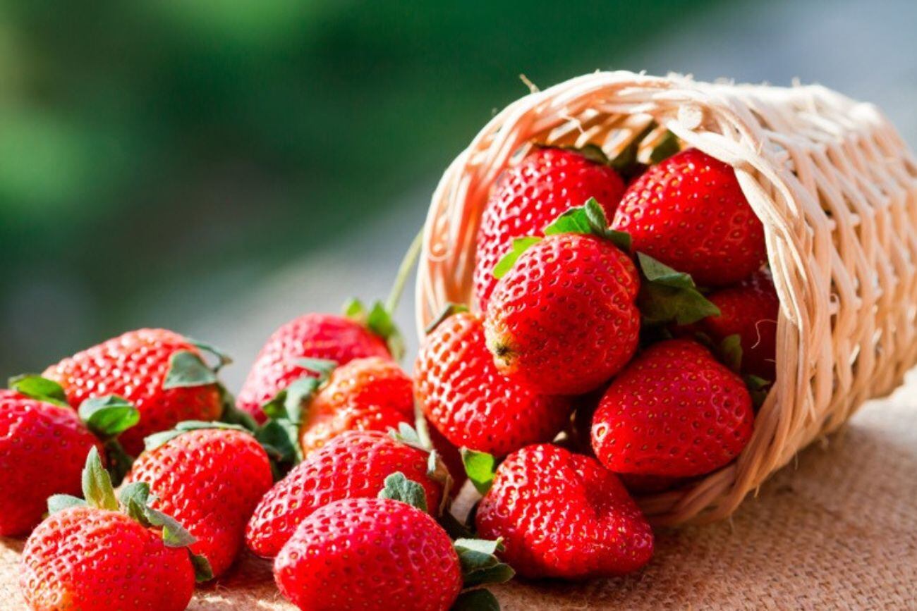 Frutillas, una gran opción para preparar memerlada casera.