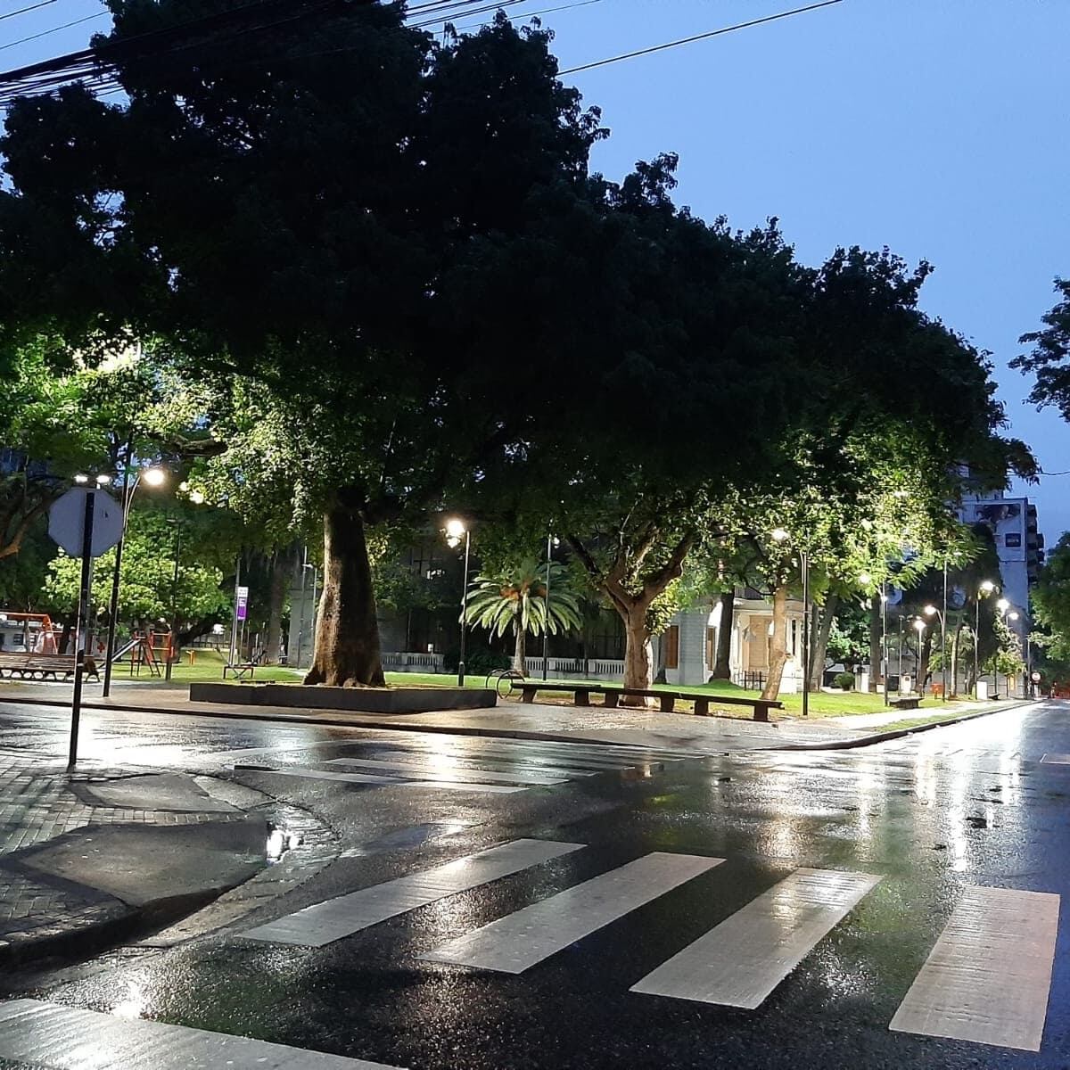 El pronóstico en Rosario para este domingo anuncia tormentas, lluvia y viento