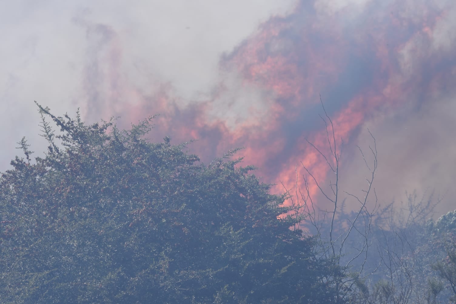 Incendio en Huerta Grande. (La Voz)