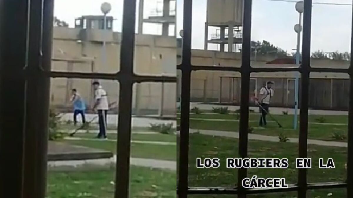 Se filtró un video de los rugbiers en prisión cortando el pasto del patio de la cárcel