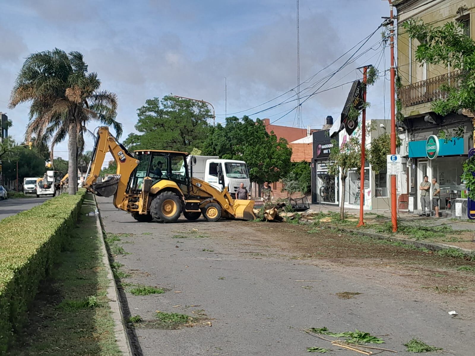 Temporal en Tres Arroyos: evacuados, árboles  caídos, techos volados y daños