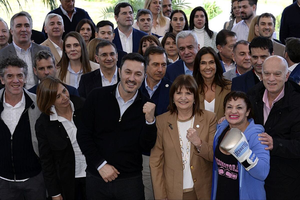 Patricia Bullrich lanzó un fuerte spot de campaña y adivirtió que el plan económico “deberá ser defendido en las calles”