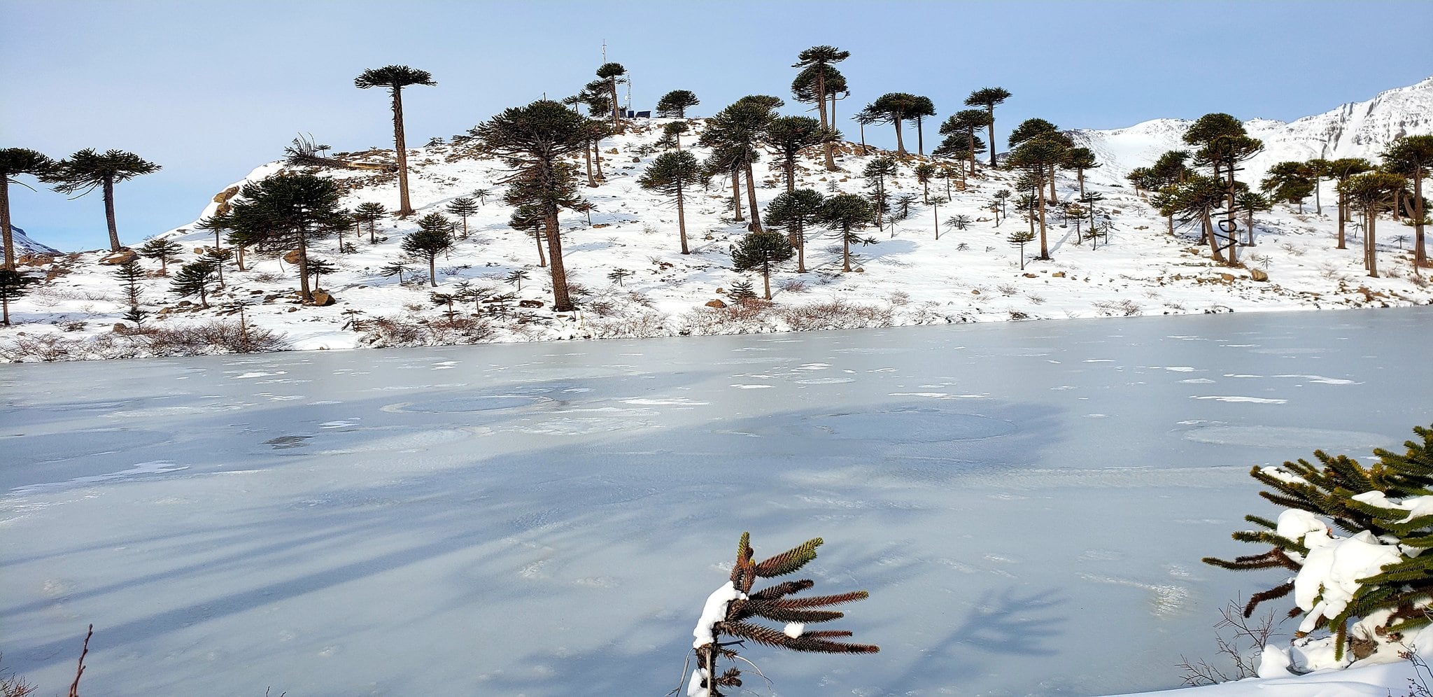 La nieve cubrió todo Caviahue.