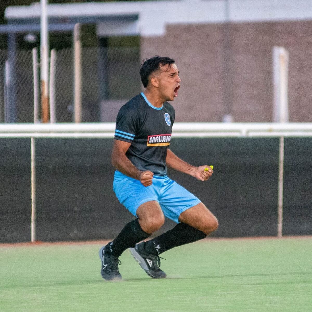 Hockey: siete puntaltenses convocados a la preselección