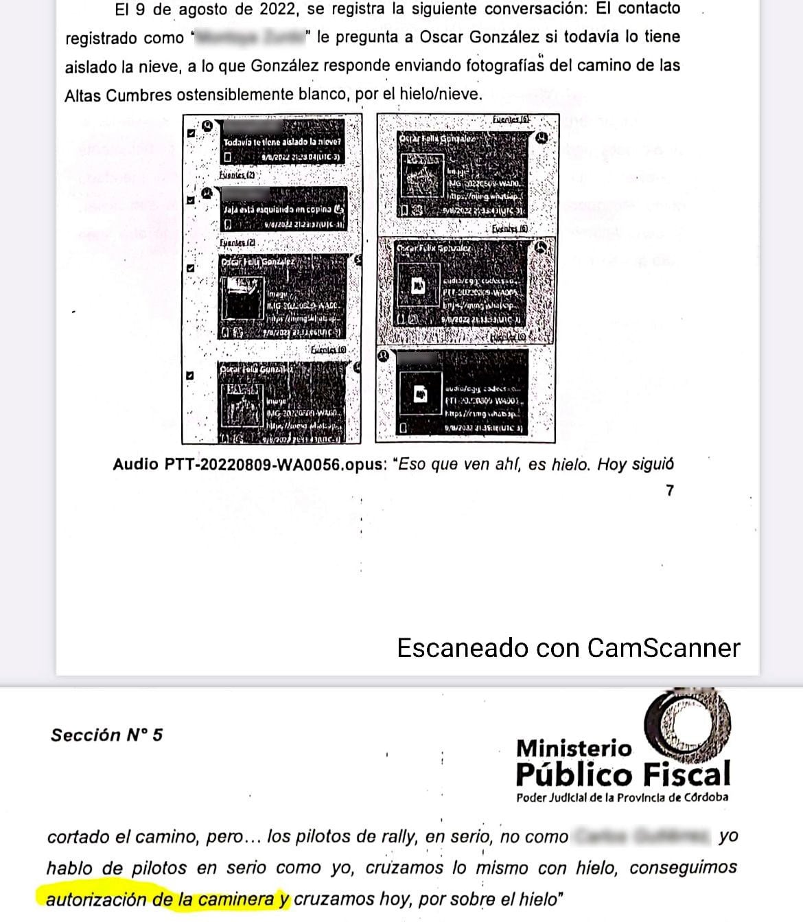 La familia de Alexa expuso los chats del legislador y pidió el cese de "la violencia institucional".