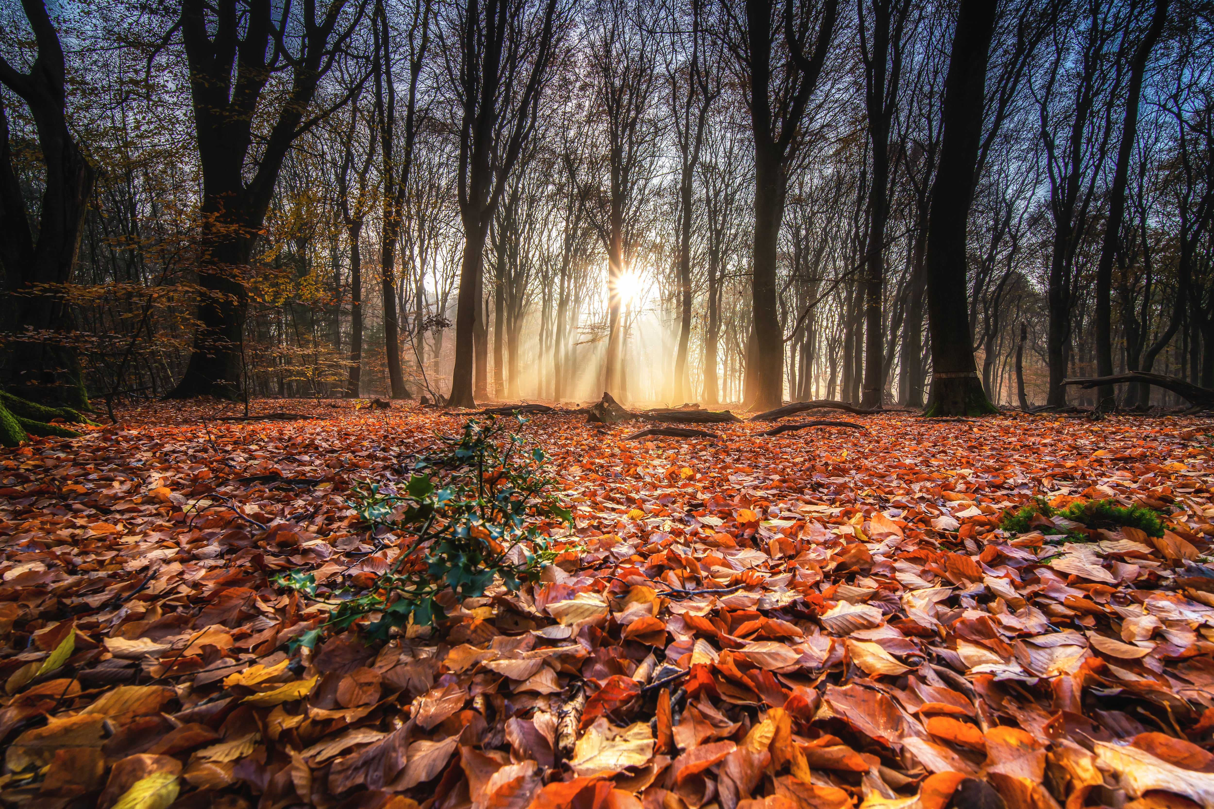 El otoño es una gran estación para relajarse