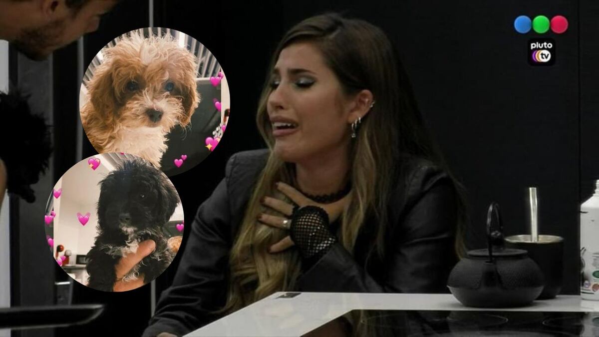Mora empezó a buscar a Caramelo y Julieta rompió en llanto en Gran Hermano