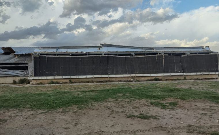 Un tornado provocó pérdidas millonarias en una granja en el interior de Córdoba.