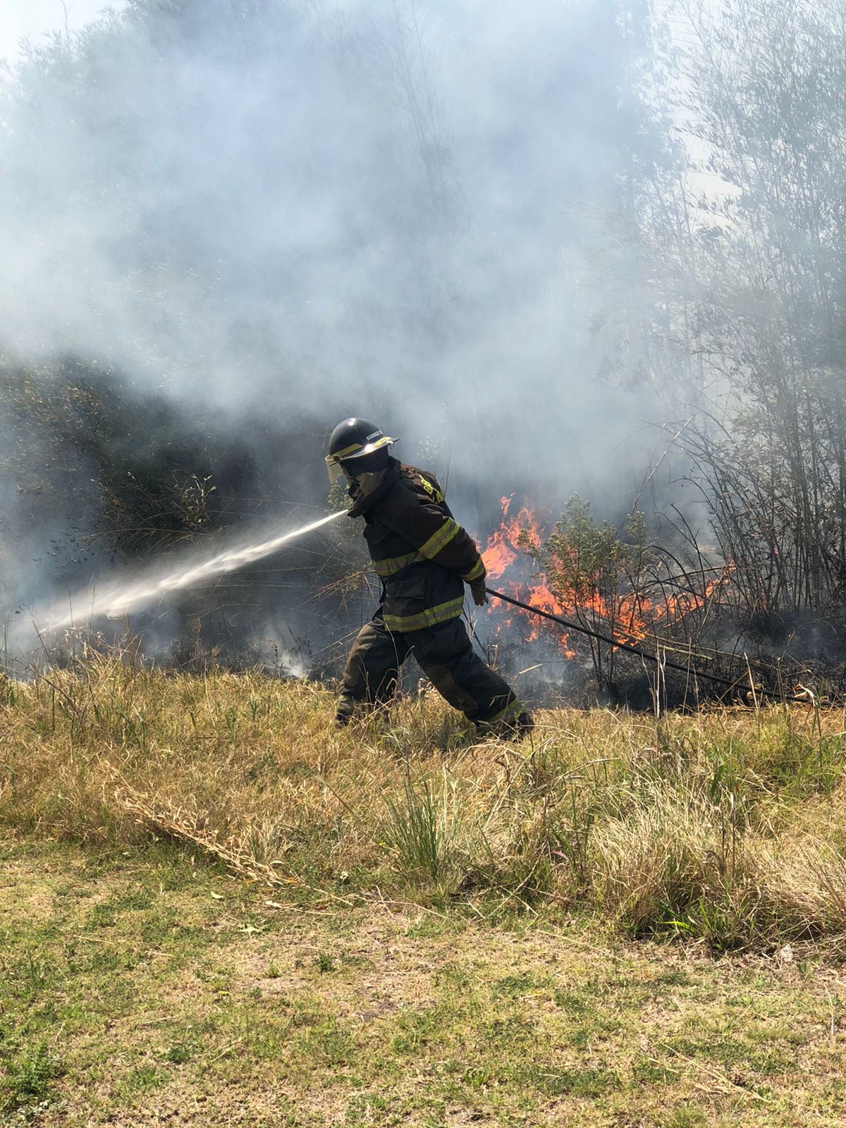 Incendio en el cañaveral del Brigadier López