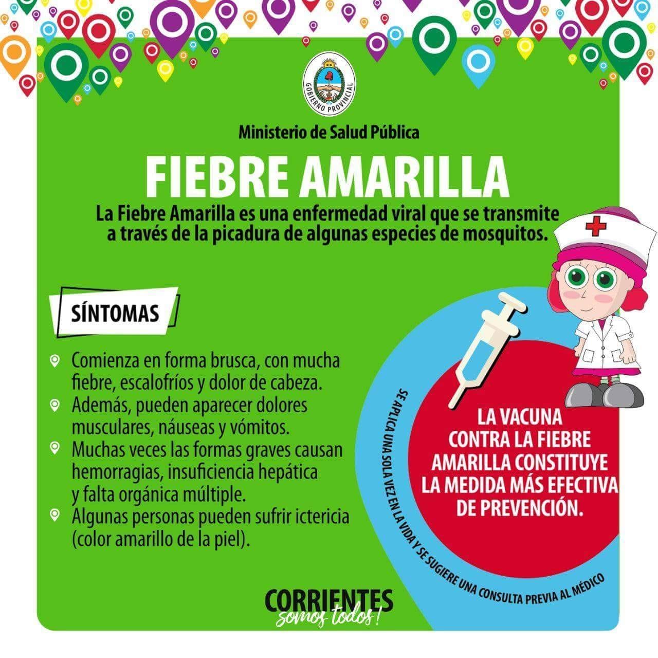 Conocer formas de contraer la fiebre amarilla, síntomas y cómo evitarlos, es la clave de la campañas de prevención.