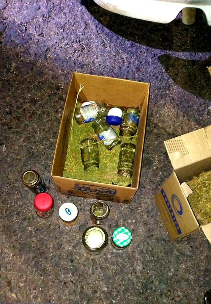 Parte de la marihuana incautada en el operativo en Capital. Foto 