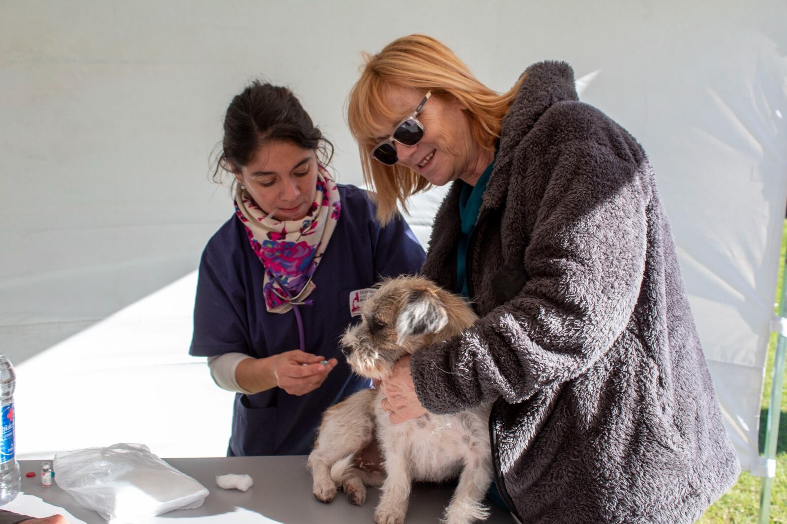 Primera jornada de actividades por el Día del Animal