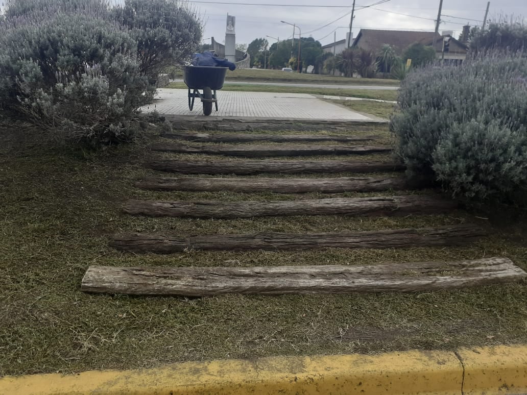 La Subsecretaría de Servicios Públicos realiza  trabajos de mantenimiento de espacios verdes en Av Belgrano.