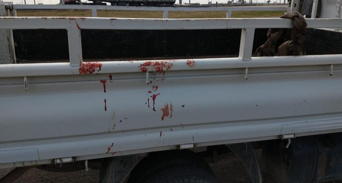 Maltrato animal en Córdoba: ató a su perro a una camioneta y lo arrastró por la autopista