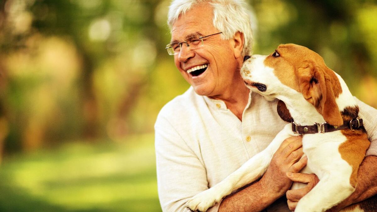 Cómo cambiaron los vínculos con las mascotas en cuarentena
