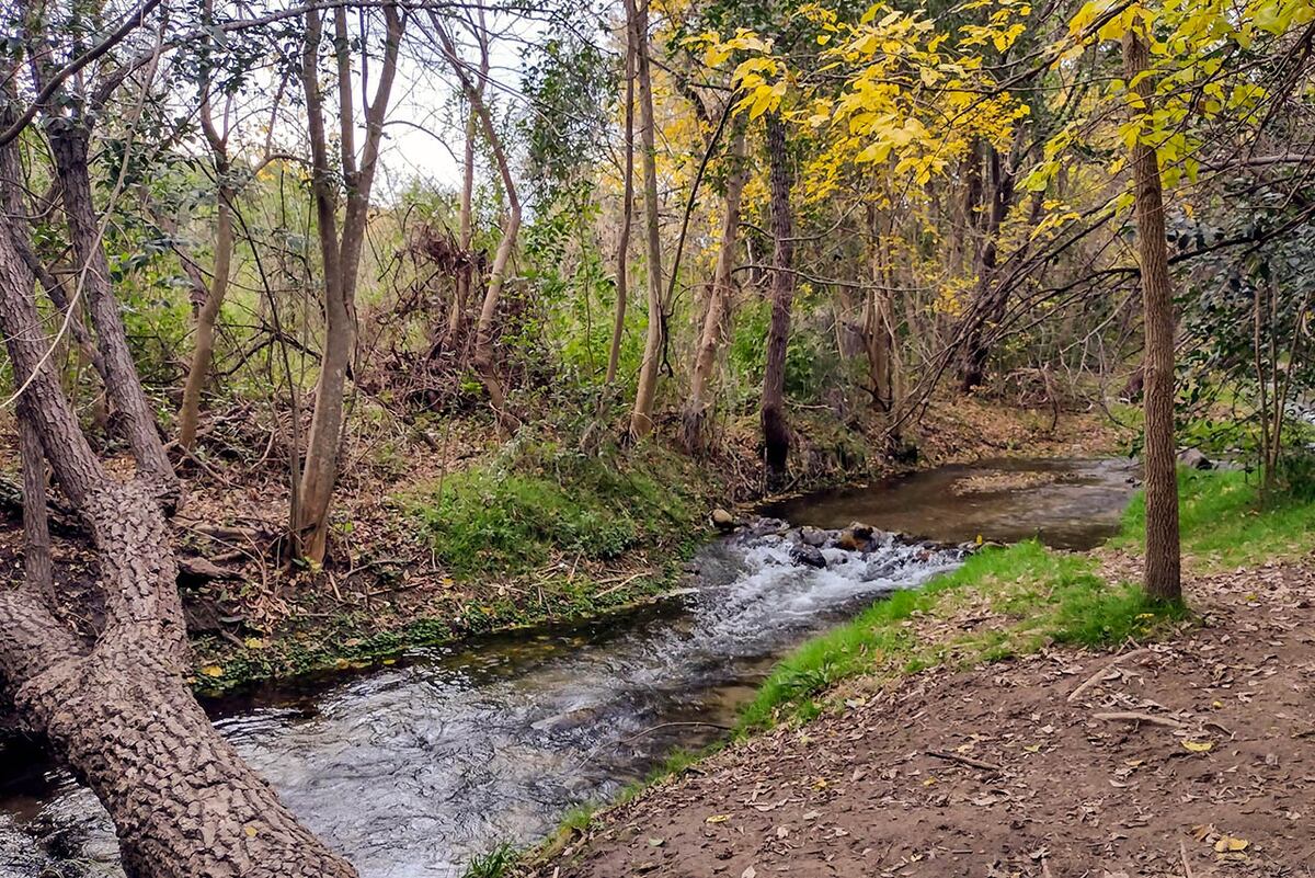 Encontraron restos óseos en un canal privado de Córdoba: lo que se sabe