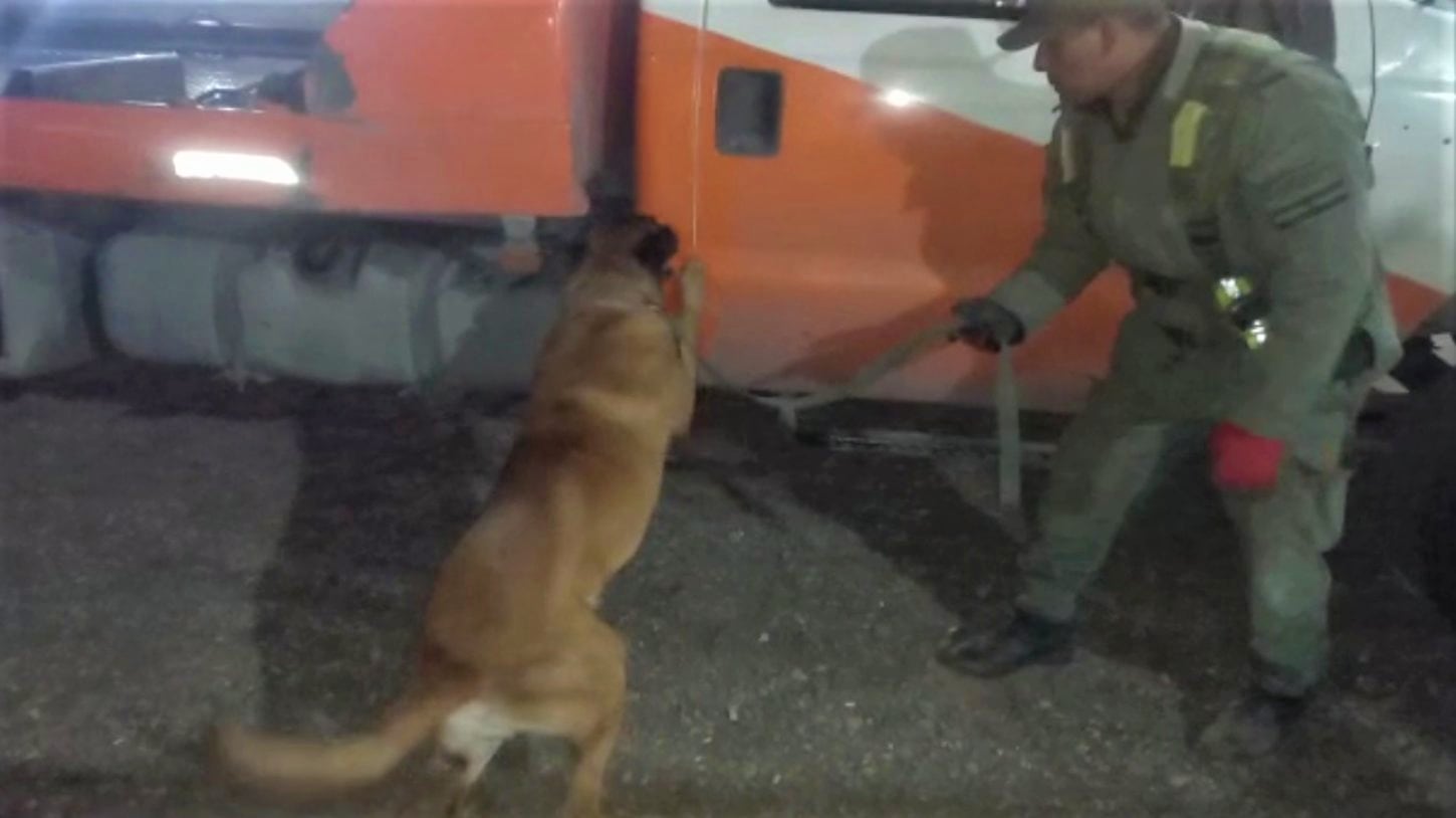 El binomio cinológico en acción, para detectar finalmente el cargamento de cocaína en el camión que circulaba por Chalicán.