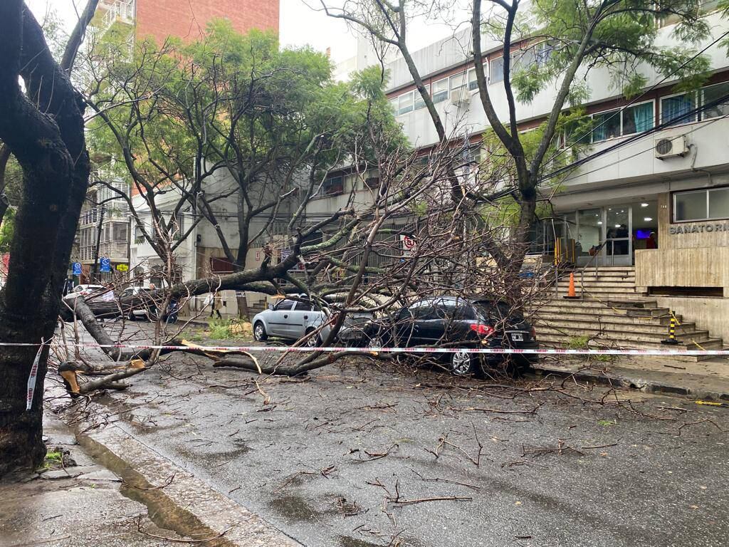 Dos automóviles quedaron dañados en 3 de Febrero al 700 debido al temporal.