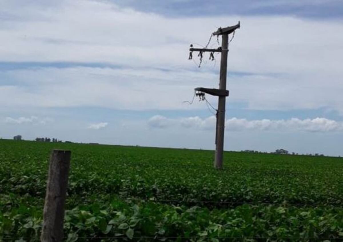 Brinkmann: Cooperativa eléctrica denunció el robo de cables en la zona de Seeber