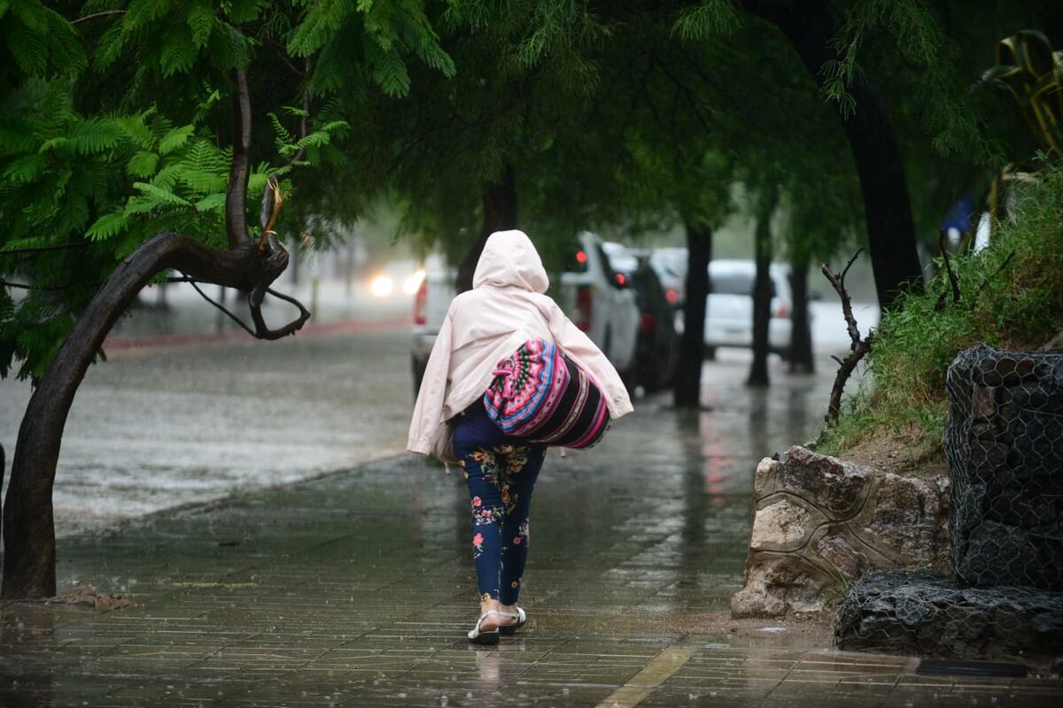 El clima en Córdoba: cómo estará el tiempo en la semana