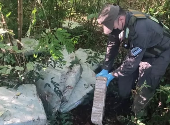 Secuestran cargamento de marihuana en Oro Verde.