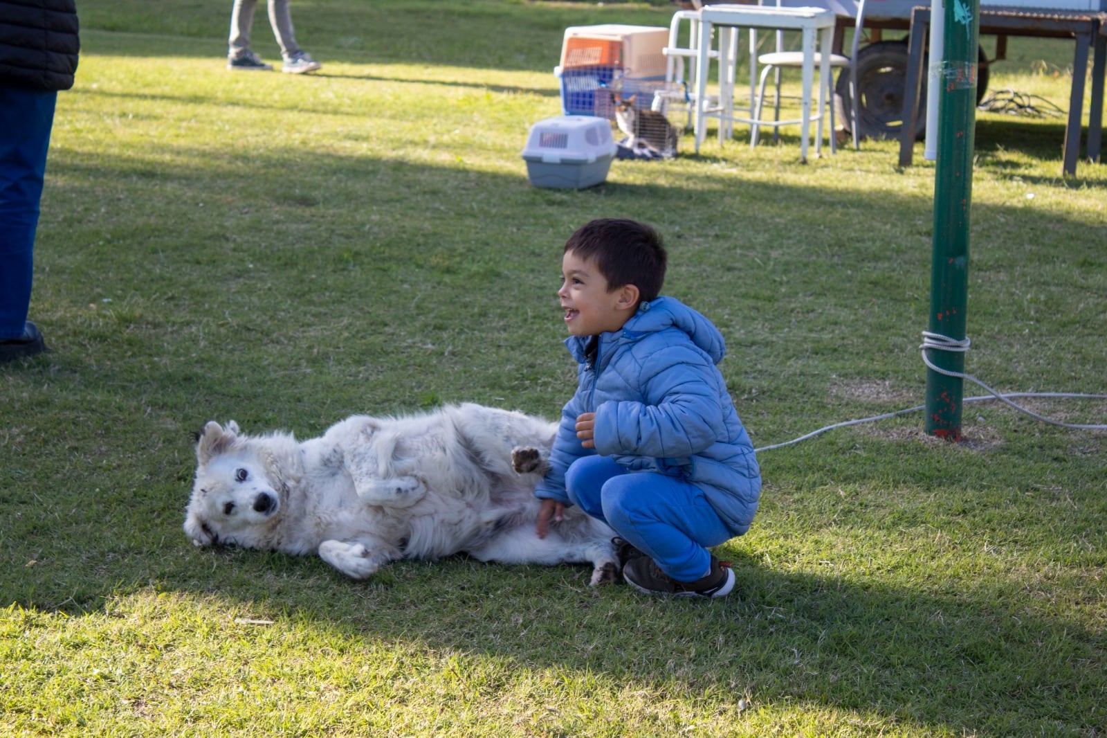 Primera jornada de actividades por el Día del Animal