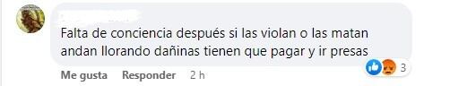 Comentario de usuarios/as de Facebook contra manifestantes de "Ni Una Menos"