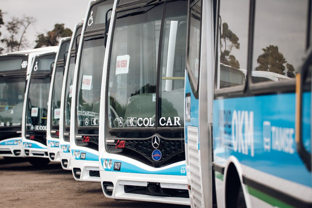 Transporte urbano de Córdoba: qué cambios habría con la llegada de una nueva empresa