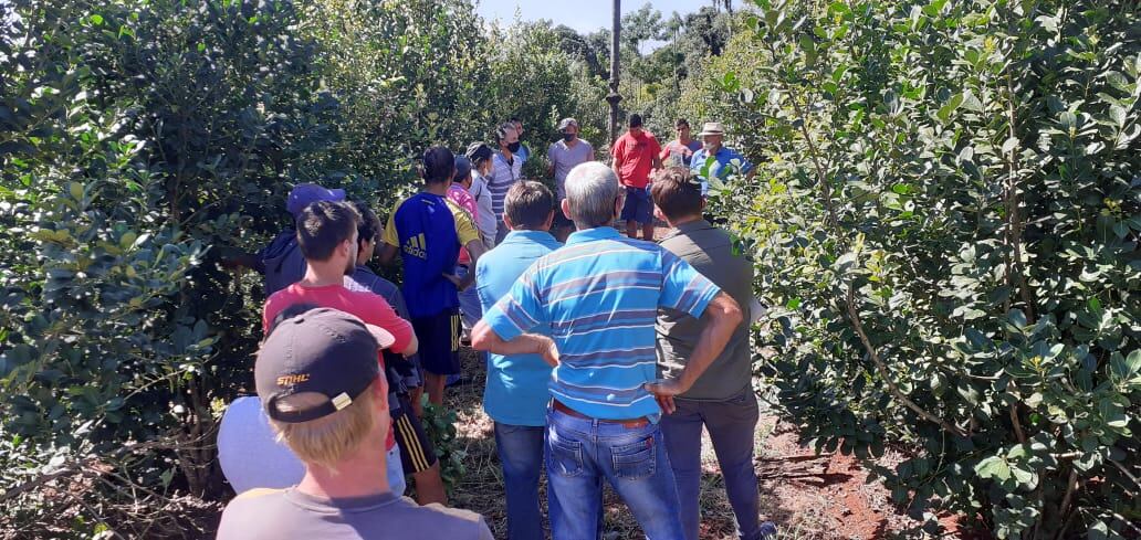 El Soberbio: capacitación a productores  de Yerba Mate