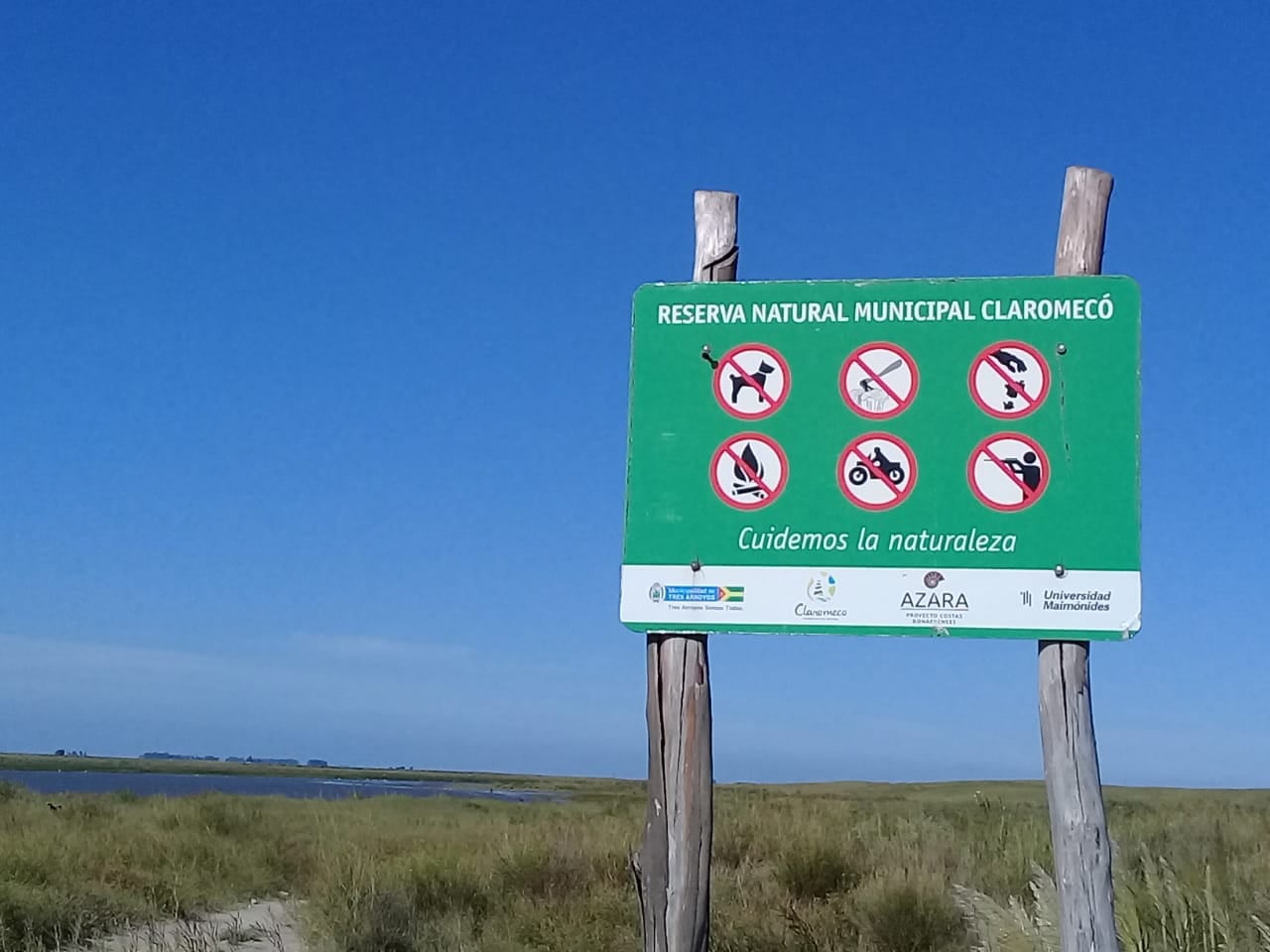 Liberaron a dos gatos monteses en la Reserva Natural de Claromecó