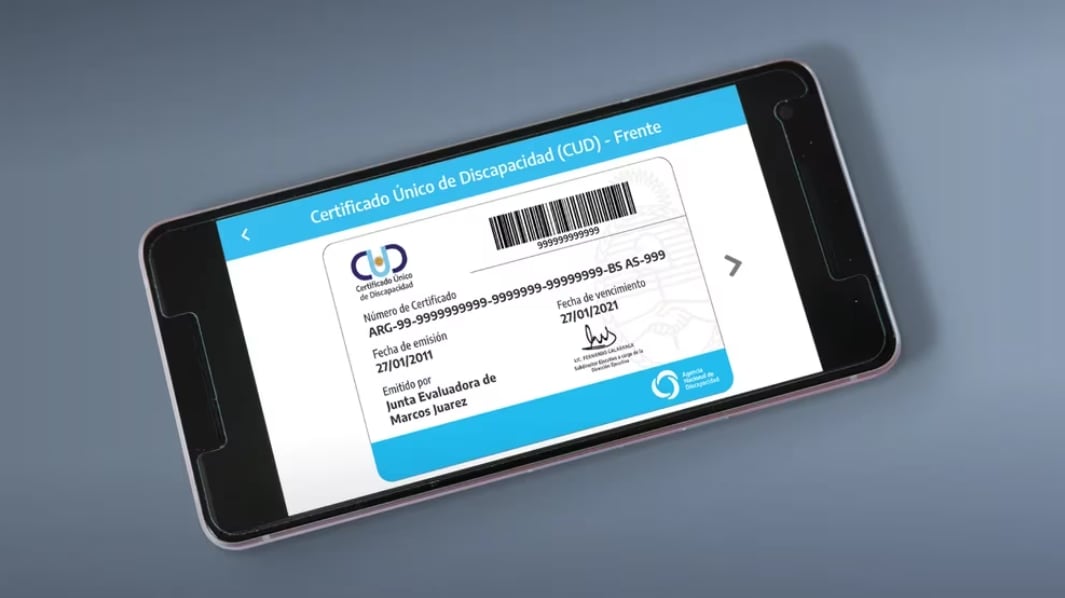 Certificado Único por Discapacidad (CUD), desde la App.