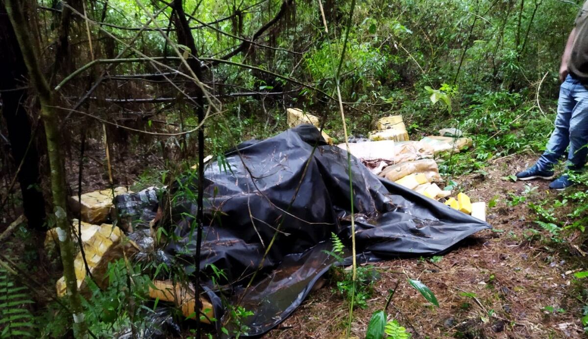 Gendarmería incautó más de dos toneladas de marihuana en Colonia Delicia