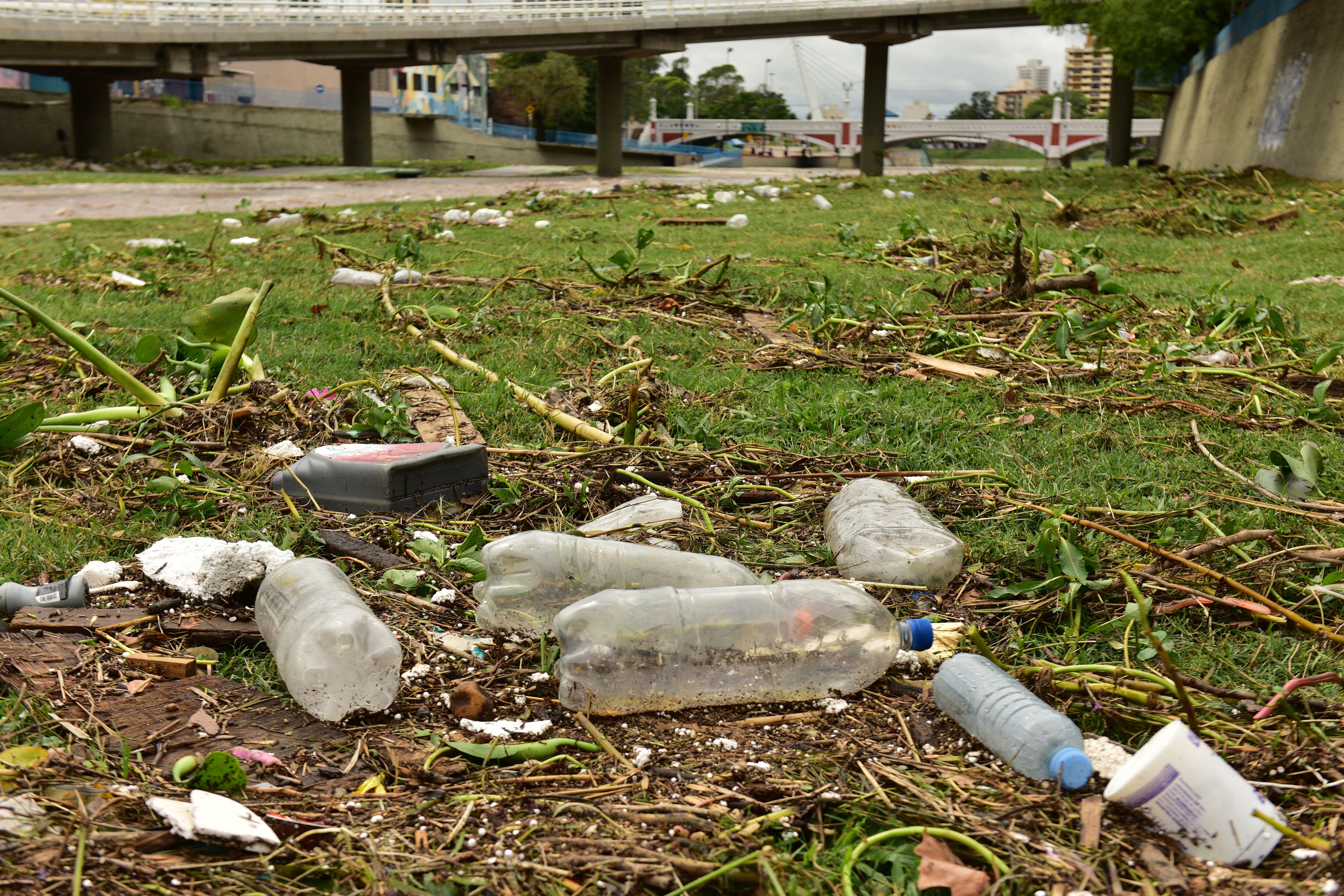 Basura en la ciudad de Córdoba.