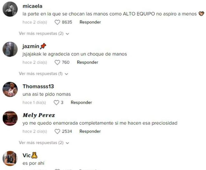 Los comentarios sobre la torta de milanesas.