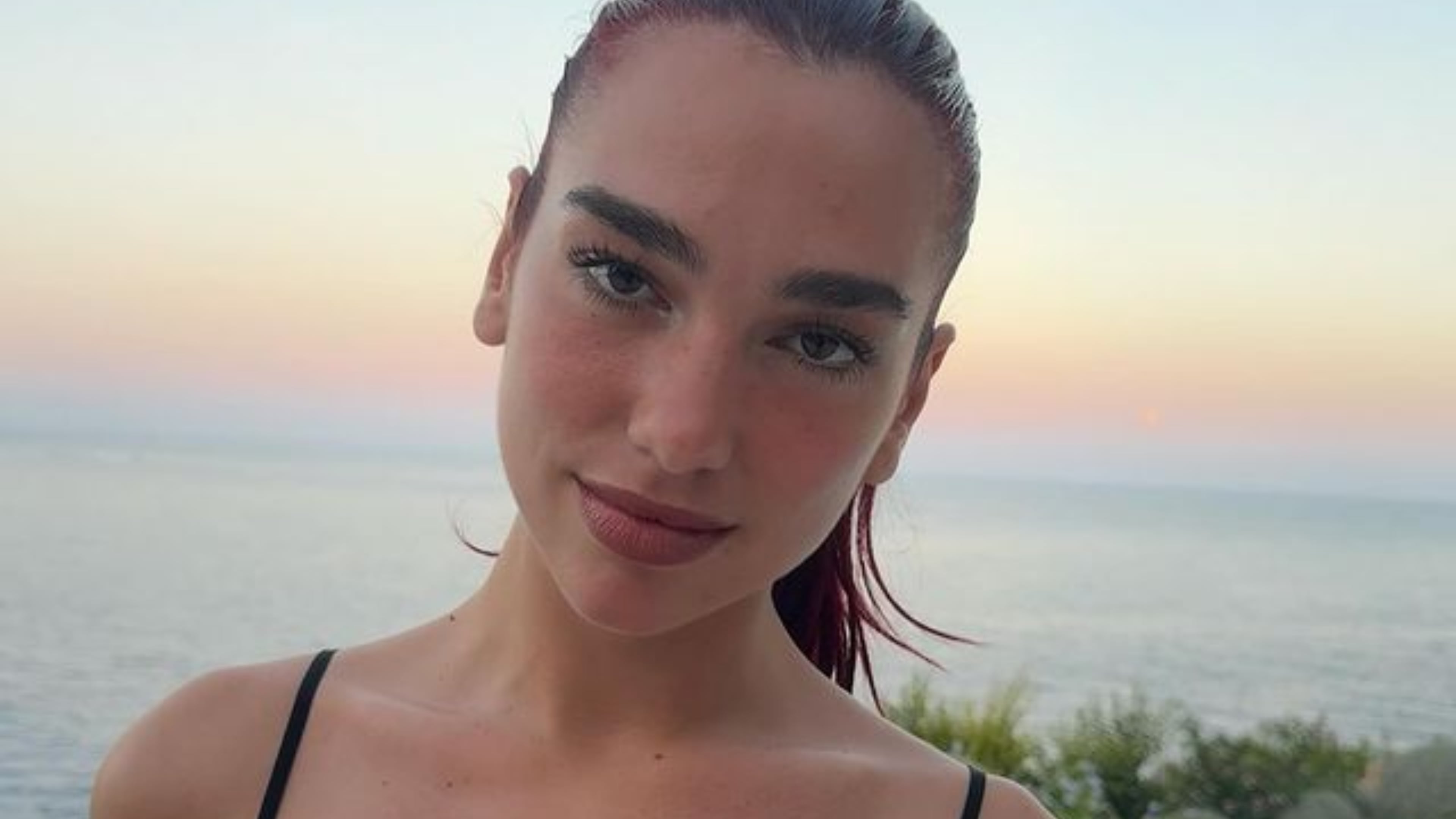 Dua Lipa compartió un carrusel con sus millones de seguidores.