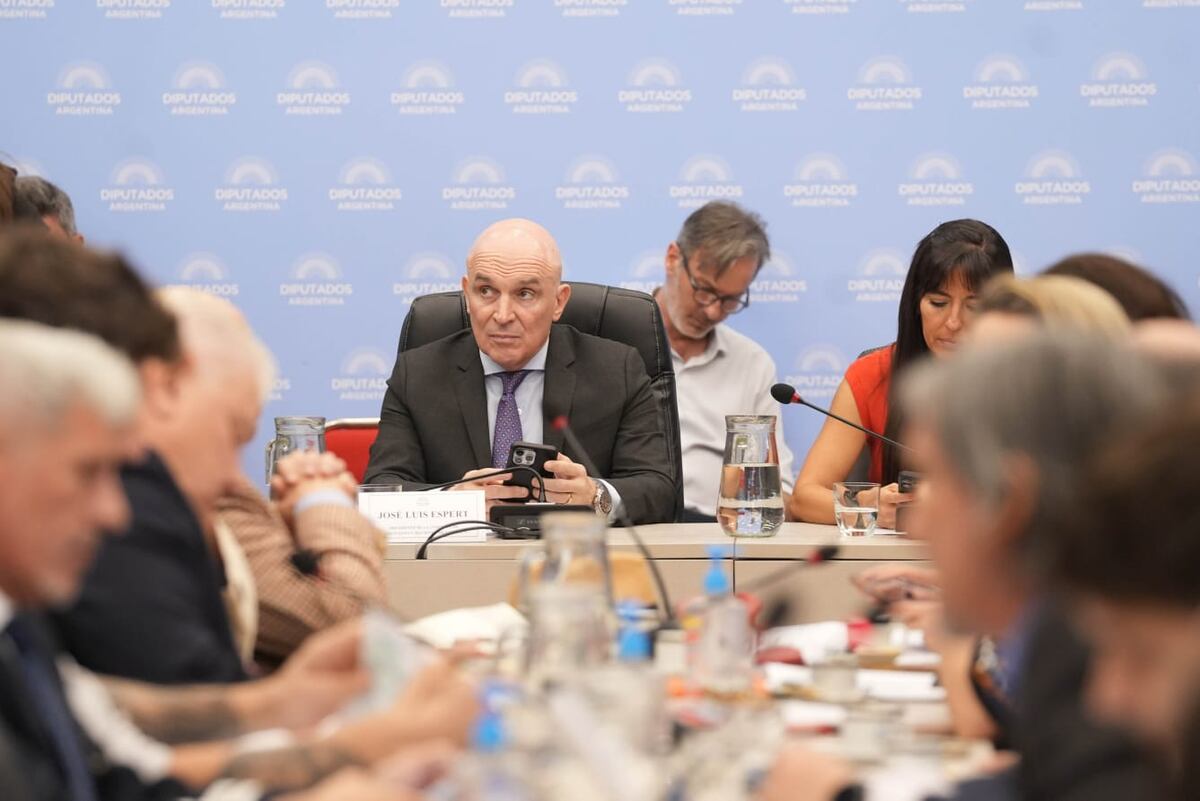 Diputados: hubo dictamen para privatizar Aerolíneas pero el Gobierno deberá negociar los votos