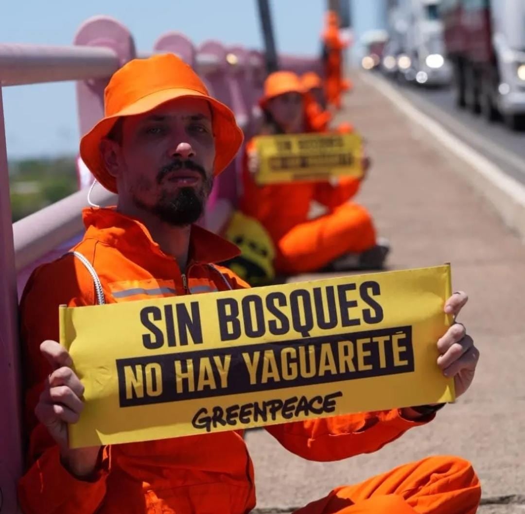 Activistas de Greenpeace protestaron en el puente Chaco-Corrientes.