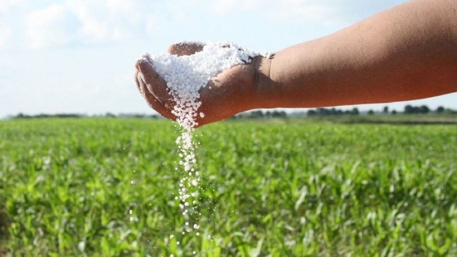 Urea, sufre subas en los precios