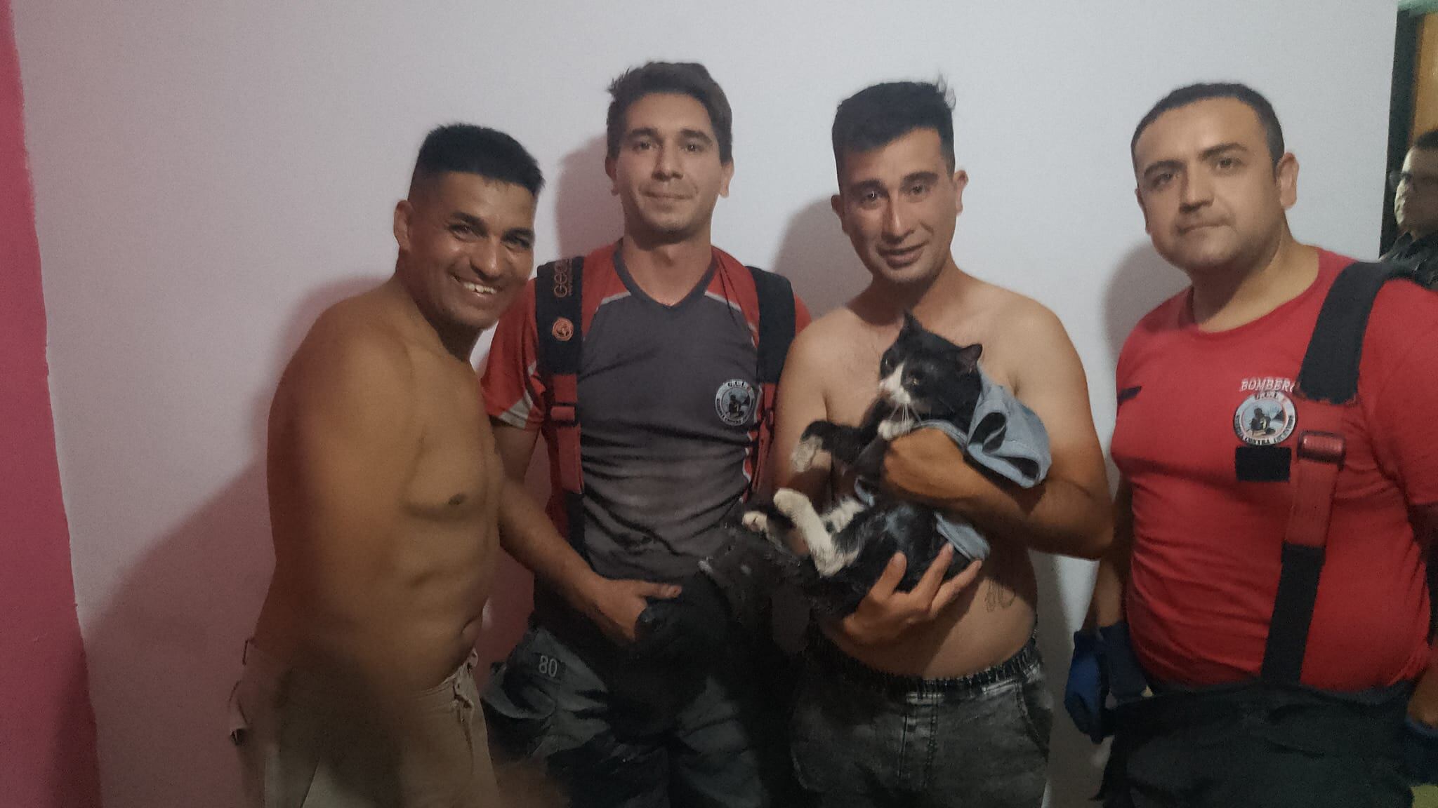 El increíble rescate de un gato en barrio SEP, en la ciudad de Córdoba.